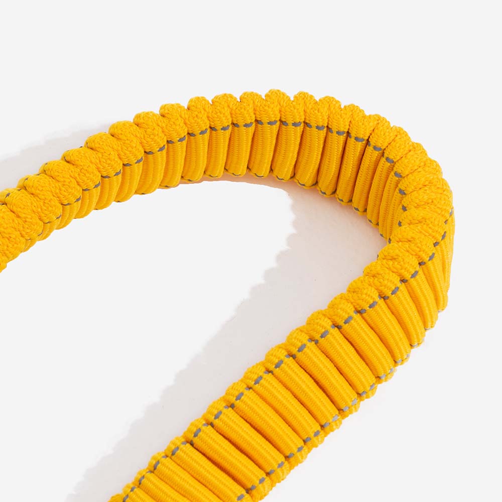 Cintura di sicurezza regolabile per cani freschi accessori per auto