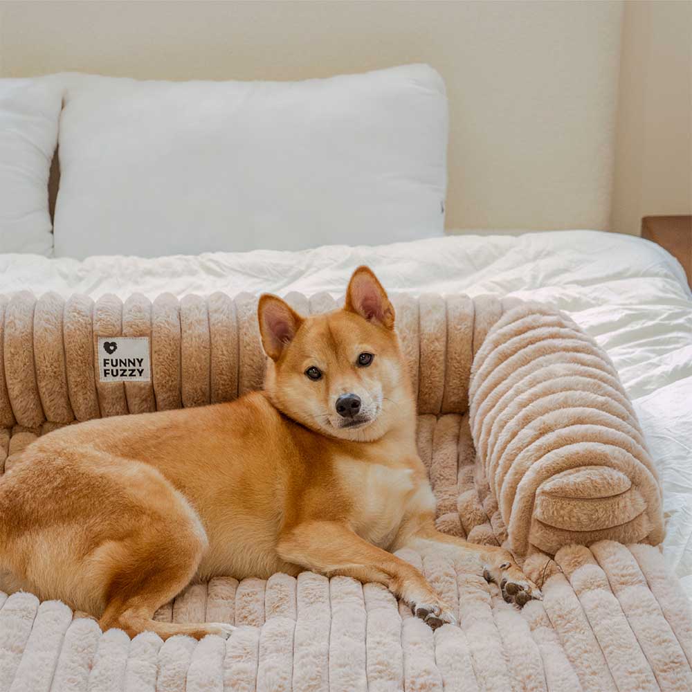 Coperna per Sofà in Peluche Cuscino per Cani Copertura per Divano