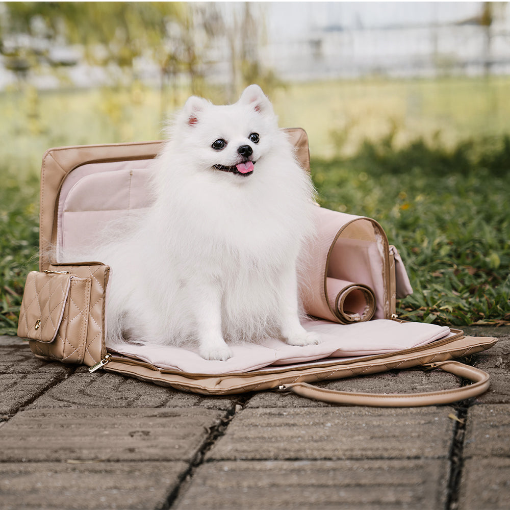 Borsa da Viaggio Multifunzione e Condivisa Cane-Umana di Grande Capacità - Wandering Tail
