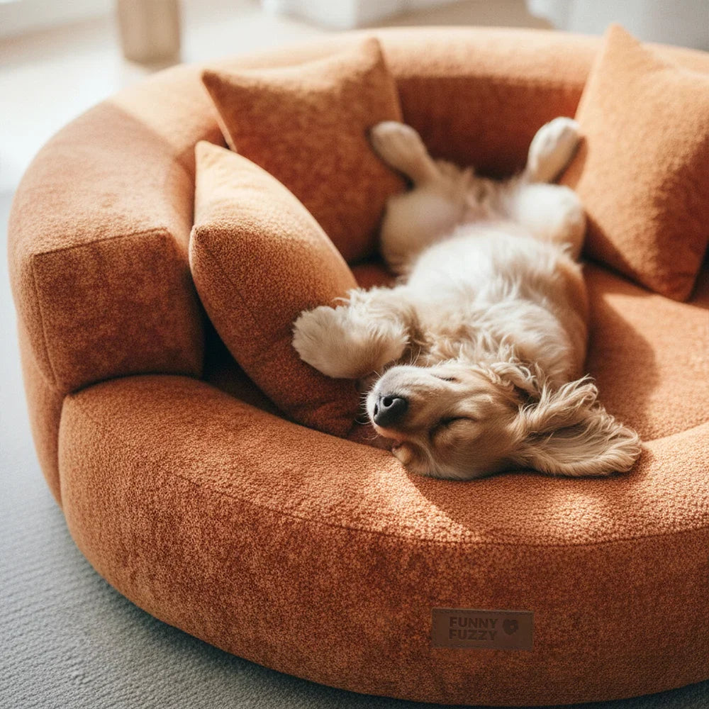Letto per Cani Ortopedico a Ciambella in Velluto Diamante Luxe con Cuscino – DreamNest