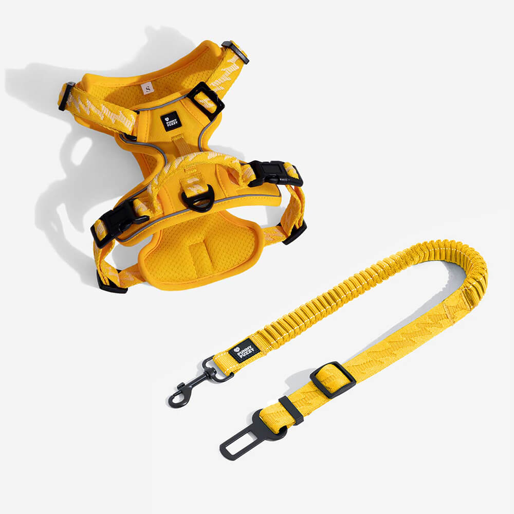 Cintura di sicurezza regolabile per cani freschi accessori per auto