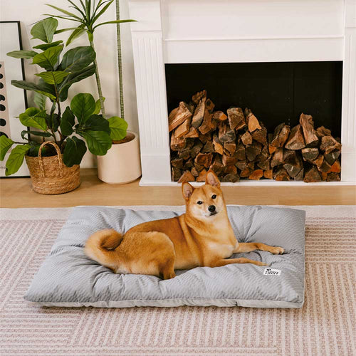 Materassino per cani lavabile e confortevole a doppio lato