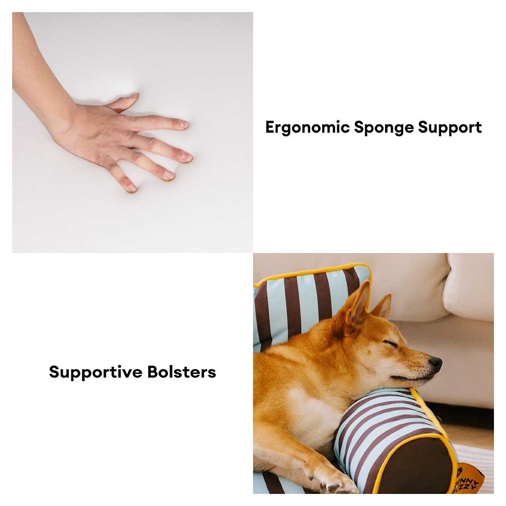 Letto per cani grande pieghevole e impermeabile Stripe - Sunny Siesta