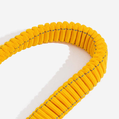 Cintura di sicurezza regolabile per cani freschi accessori per auto