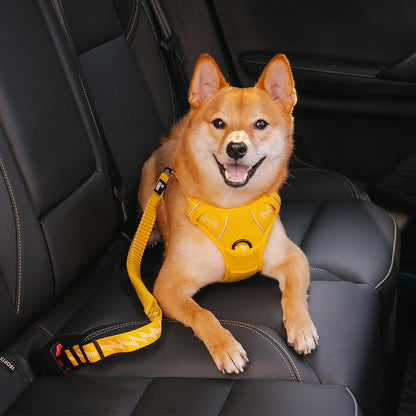 Cintura di sicurezza regolabile per cani freschi accessori per auto