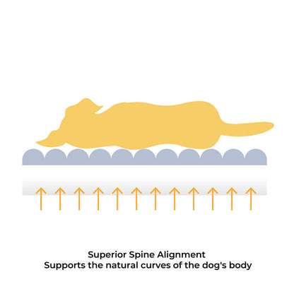 Letti per cani piatti grandi, lavabili, cremosi e accoglienti - Cheesecake