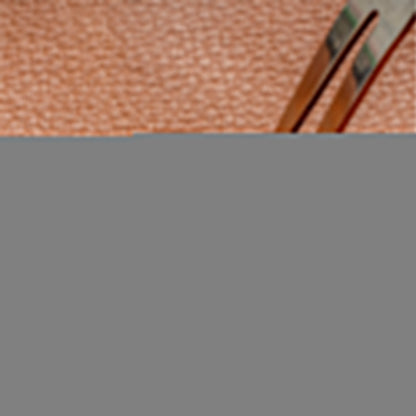 Seggiolino Auto Rialzato Deluxe per Cani in Ecopelle - Urban Voyager