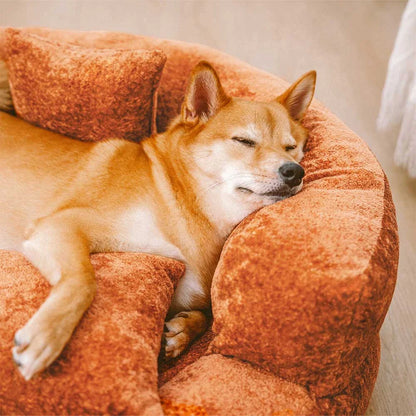 Letto per Cani Ortopedico a Ciambella in Velluto Diamante Luxe con Cuscino – DreamNest