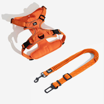 Cintura di sicurezza regolabile per cani freschi accessori per auto