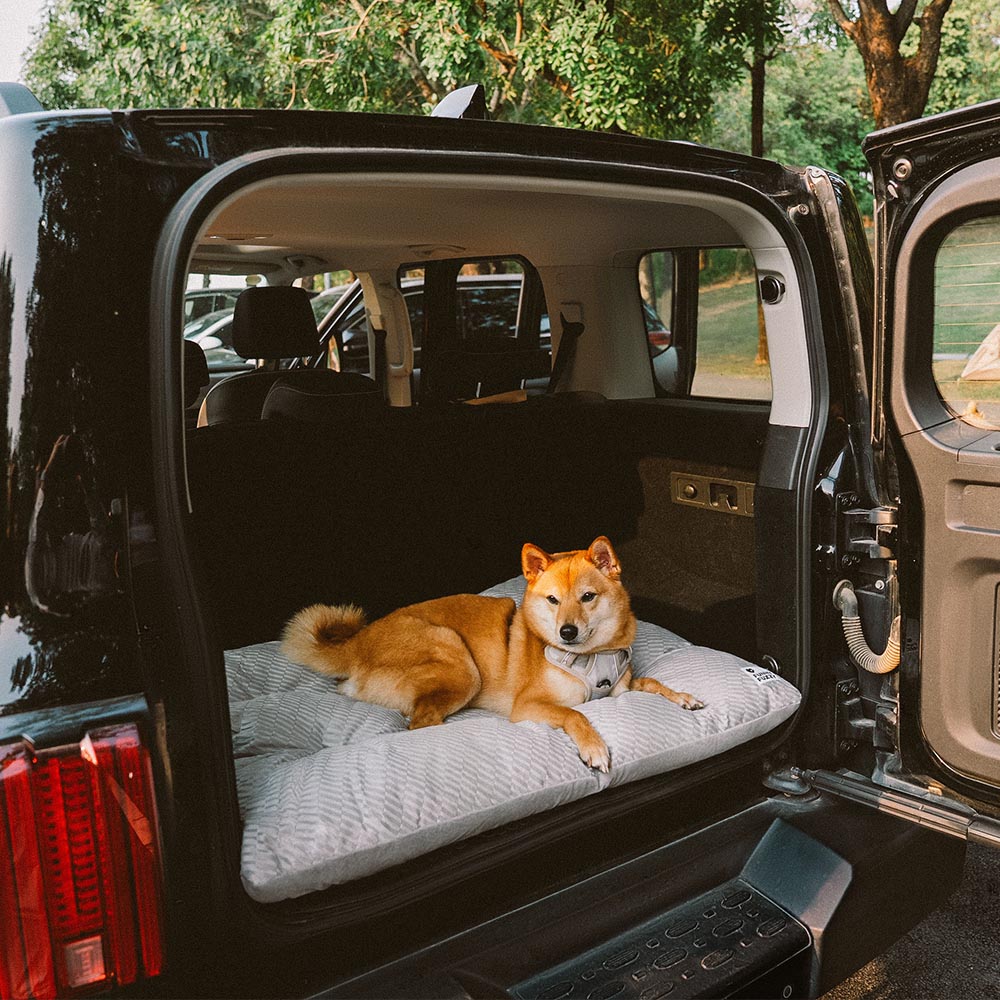 Materassino per cani lavabile e confortevole a doppio lato
