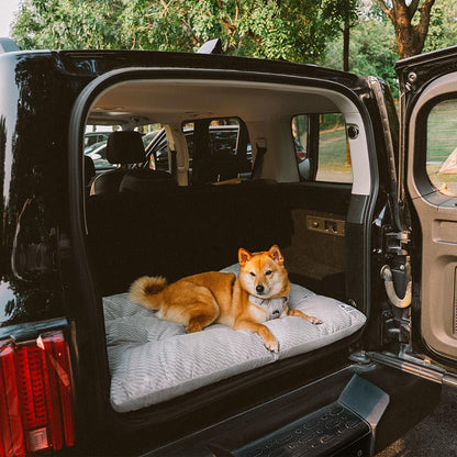 Materassino per cani lavabile e confortevole a doppio lato