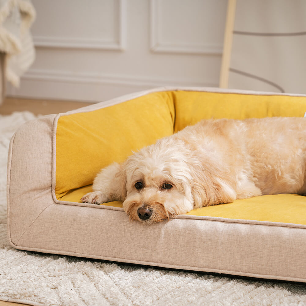 Divano Letto Ortodontico per Cani Ultimate Lounger con Supporto Completo e Comfortevole