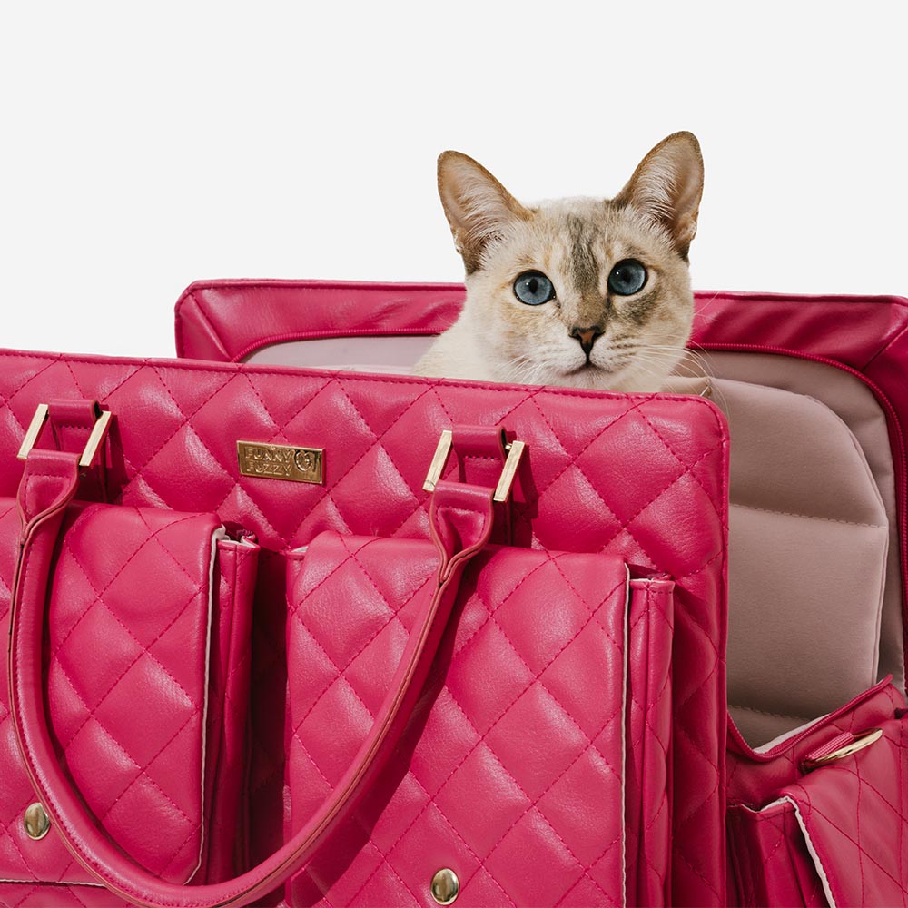 Borsa da Viaggio Multifunzione e Condivisa Cane-Umana di Grande Capacità - Wandering Tail