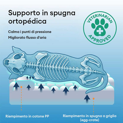 Letto per cani con supporto in spugna per il sonno profondo e anti-ansia