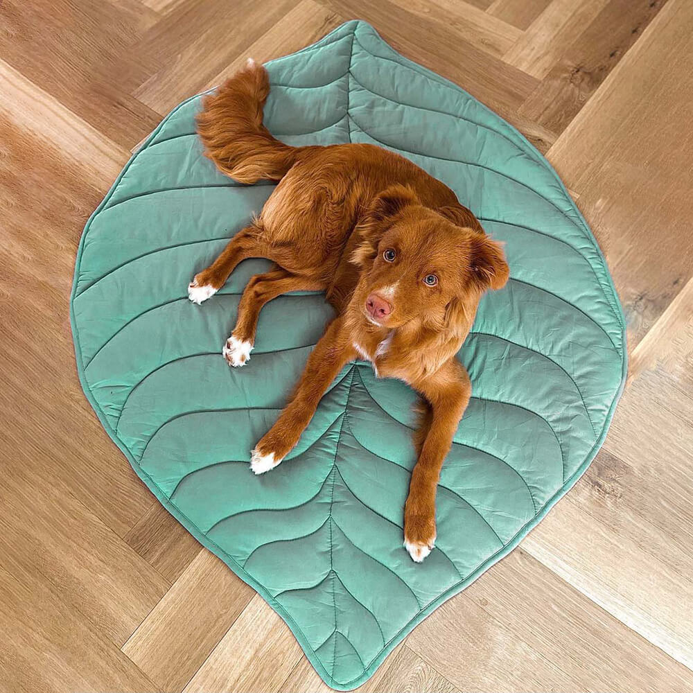 Coperta per cani a forma di foglia